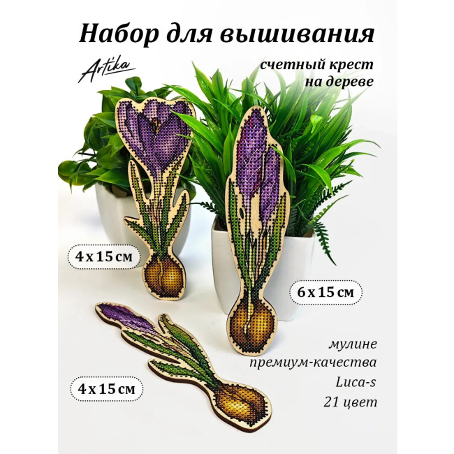 Крокусы